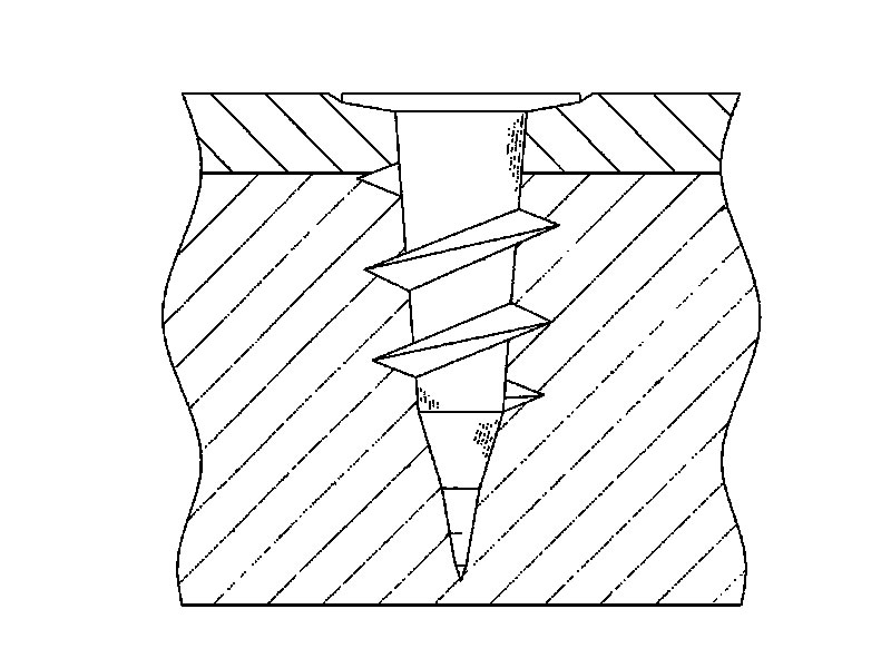 プラスチックスクリュー断面図